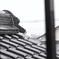 朝からの雨