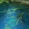 青池 2