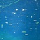 青池 3