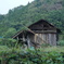 DSC09568