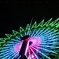 Wheel in the sky