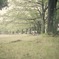 雨上がりの公園にて⑤