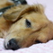 眠い・・・