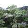大通り峠