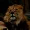 KING