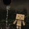 梅雨ダンボー２