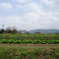 DSC01294_