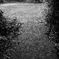 DSC01576
