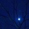 blue moon