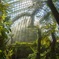 シンガポール・植物園