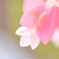 輝き