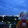 明日も頑張ろう
