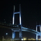 Midnight Bay Bridge