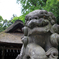 神楽殿と狛犬