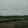 20130705-IMG_0037