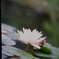 イメージ00026