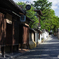 ねねの道の朝