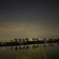 夜の沼