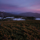 sunset and meadow