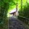 鈴虫寺