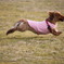 FLYING
