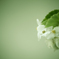 photo46671