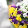 flower 壱