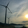 SHORE WINDS