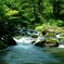 新緑の渓流（荒俣峡）