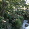 中島公園