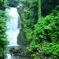 奈曽の白滝