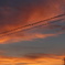 DSC09251