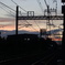 DSC09256