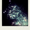 FirEflOwR 