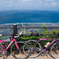 自転車で岬から