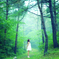 in the forest
