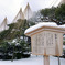 雪吊り