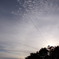 サンフランシスコの空