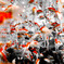 A school of goldfish