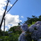 梅雨明け