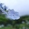 梅雨空