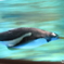 流し撮り