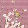 雨でも　メジロを～～