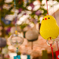 ひよこ