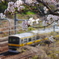 外濠公園の桜。