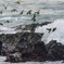 NIKON D7200-20150725-050755-0