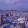 雪の函館。。五稜郭タワーにて
