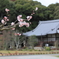 観音寺