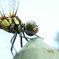 R0012996