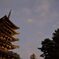 興福寺　五重塔